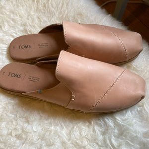 Toms Mule